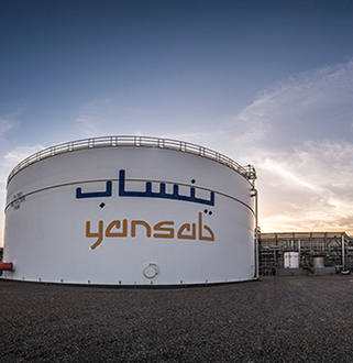 Yansab BBTX Project